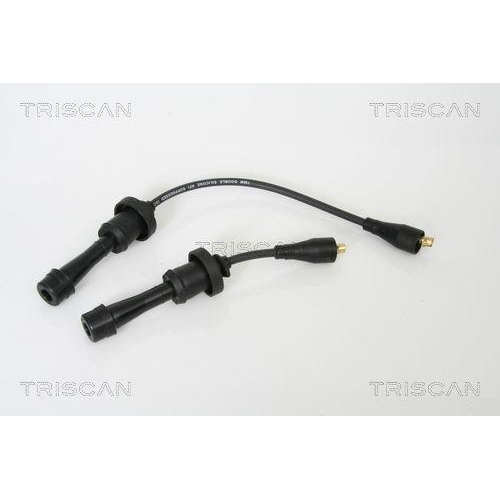 TRISCAN Z&uuml;ndleitungssatz 8860 43001