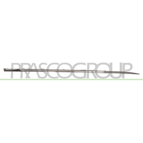 PRASCO Zier-/Schutzleiste, T&uuml;r RN3291413
