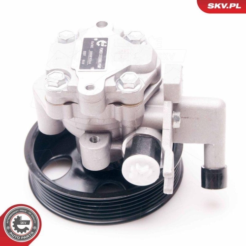 ESEN SKV Hydraulikpumpe, Lenkung 10SKV214