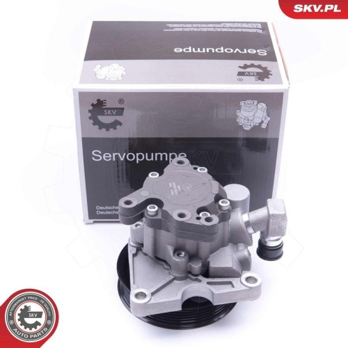 ESEN SKV Hydraulikpumpe, Lenkung 10SKV273