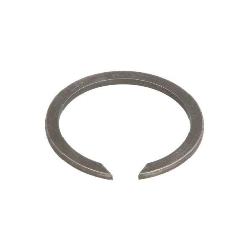 BTA Sensorring, ABS B06-1056