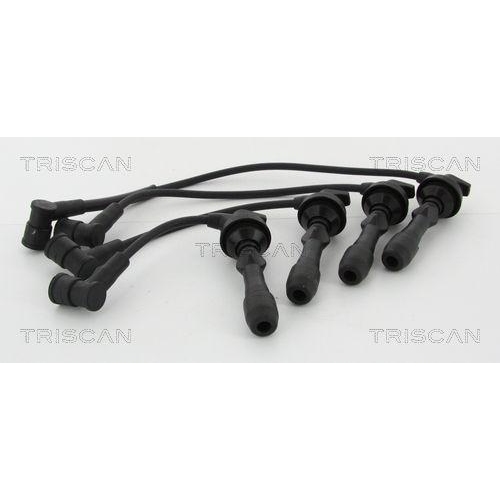 TRISCAN Z&uuml;ndleitungssatz 8860 43020