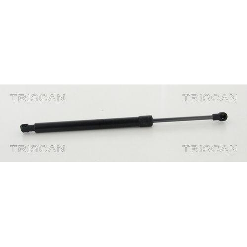 TRISCAN Gasfeder, Koffer-/Laderaum 8710 11240