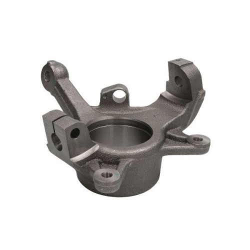 REINHOCH Achsschenkel, Radaufh&auml;ngung RH08-5017