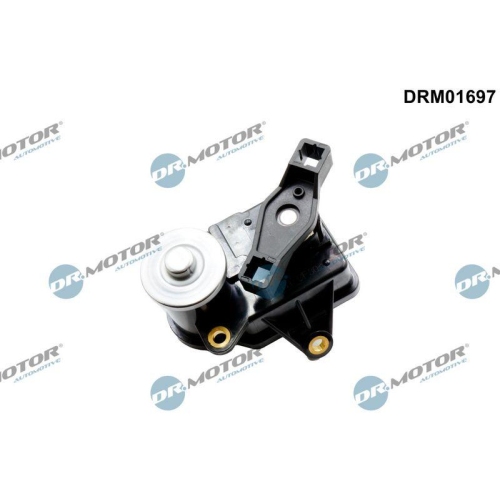 Dr.Motor Automotive Stellelement, Drallklappen (Saugrohr) DRM01697