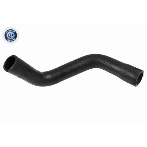 VAICO K&uuml;hlerschlauch Q+, Erstausr&uuml;sterqualit&auml;t V22-0729