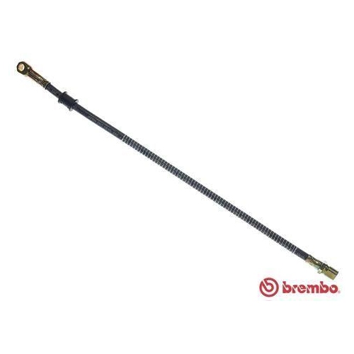 BREMBO Bremsschlauch ESSENTIAL LINE T 41 001