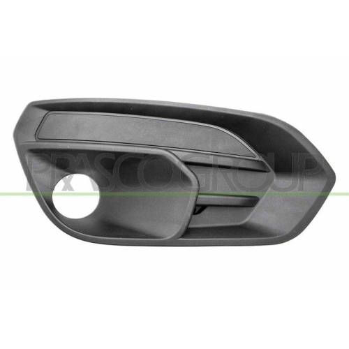 PRASCO L&uuml;ftungsgitter, Sto&szlig;f&auml;nger FT9512133