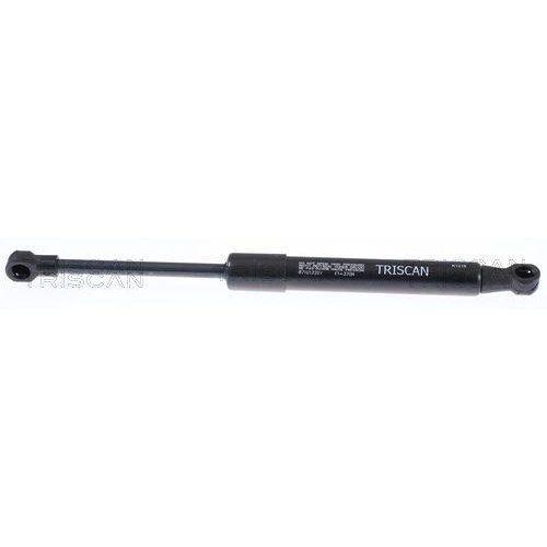 TRISCAN Gasfeder, Koffer-/Laderaum 8710 12207