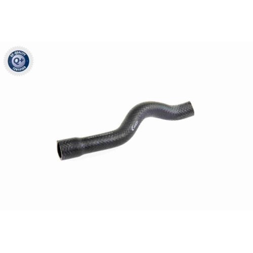VAICO Kühlerschlauch Q+, Erstausrüsterqualität V20-1611