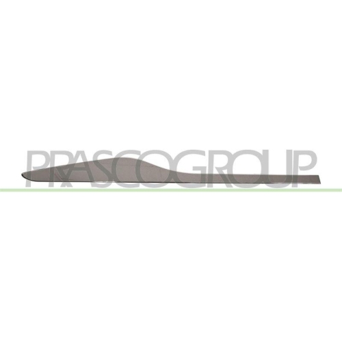PRASCO Zier-/Schutzleiste, T&uuml;r RN3291463