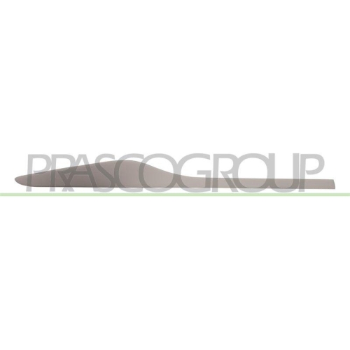 PRASCO Zier-/Schutzleiste, T&uuml;r RN3291473