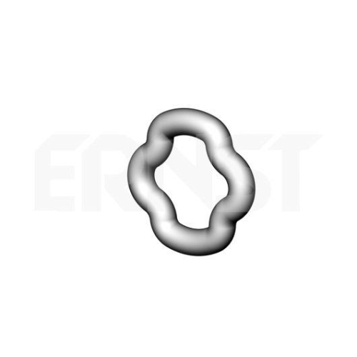 ERNST Halter, Abgasanlage 498203