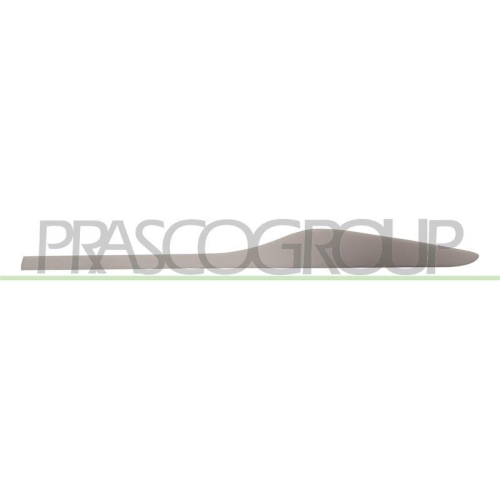 PRASCO Zier-/Schutzleiste, T&uuml;r RN3291474