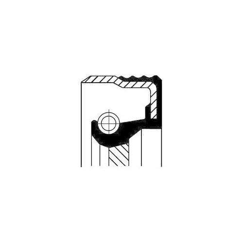 CORTECO Wellendichtring, Nockenwelle 12015548B