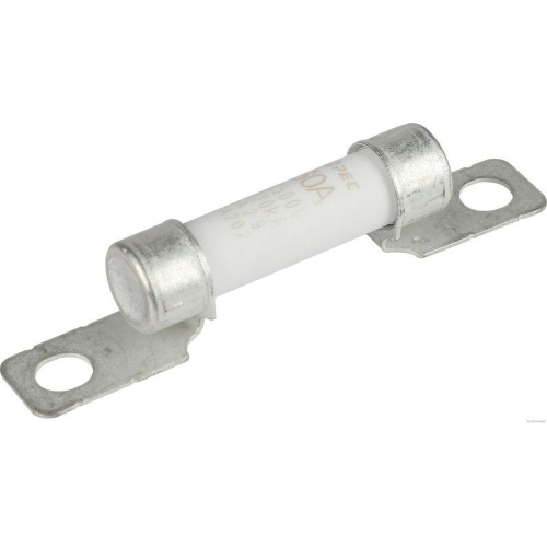 HERTH+BUSS ELPARTS Sicherung 50295390
