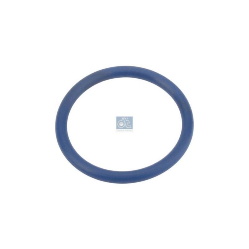 DT Spare Parts Dichtring, Ladeluftschlauch 2.10214