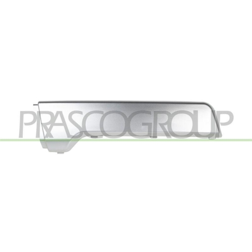 PRASCO Zier-/Schutzleiste, Sto&szlig;f&auml;nger LR8021253