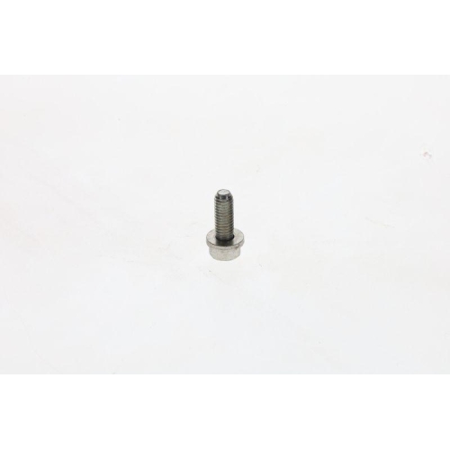 BOSCH Schraube F 002 D13 588