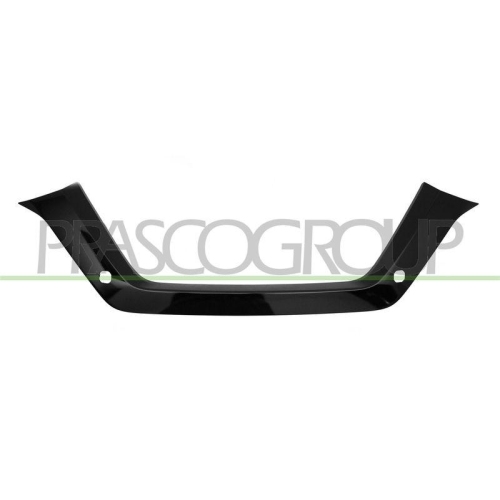 PRASCO Zier-/Schutzleiste, Sto&szlig;f&auml;nger DS8381245