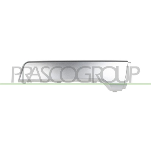 PRASCO Zier-/Schutzleiste, Sto&szlig;f&auml;nger LR8021254