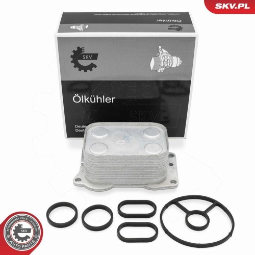 ESEN SKV &Ouml;lk&uuml;hler, Motor&ouml;l 31SKV382