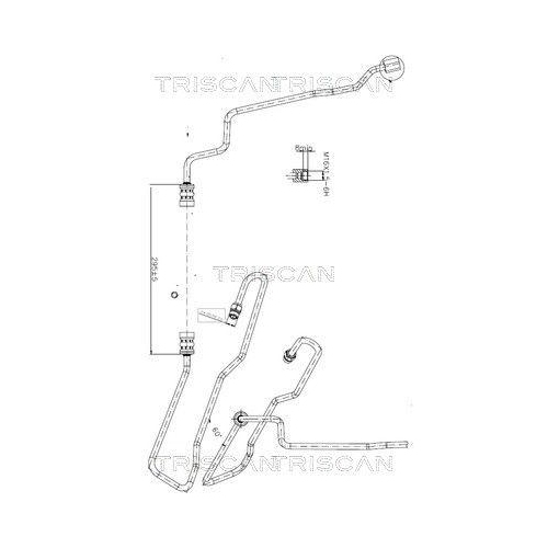TRISCAN Hydraulikschlauch, Lenkung 8516 16011