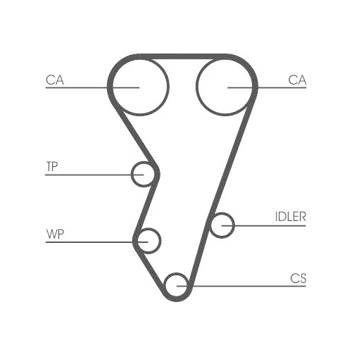 CONTINENTAL CTAM Zahnriemen CT864