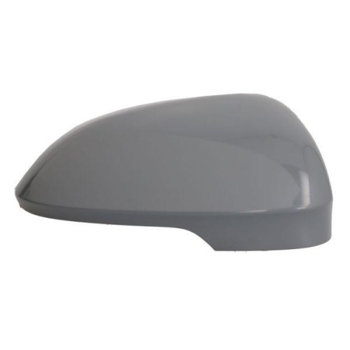 BLIC Abdeckung, Außenspiegel 6102-01-2297331P