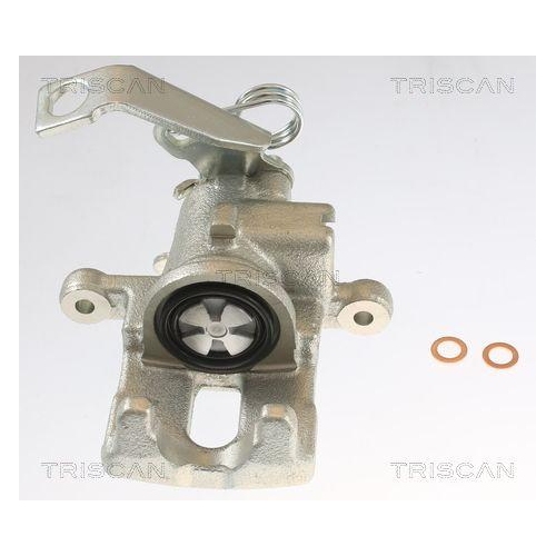TRISCAN Bremssattel 8175 40209