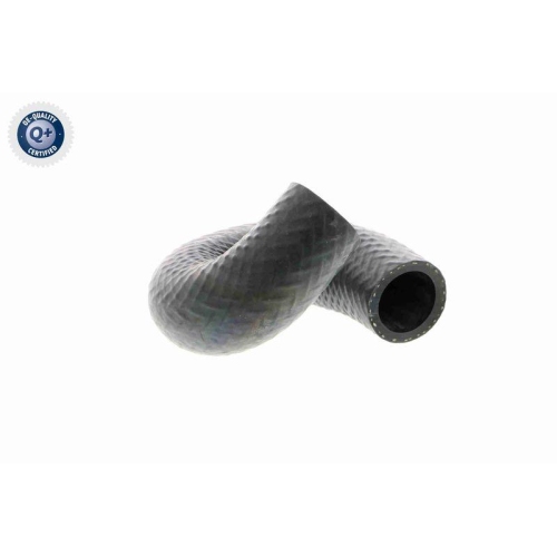 VAICO Kühlerschlauch Q+, Erstausrüsterqualität V20-1697