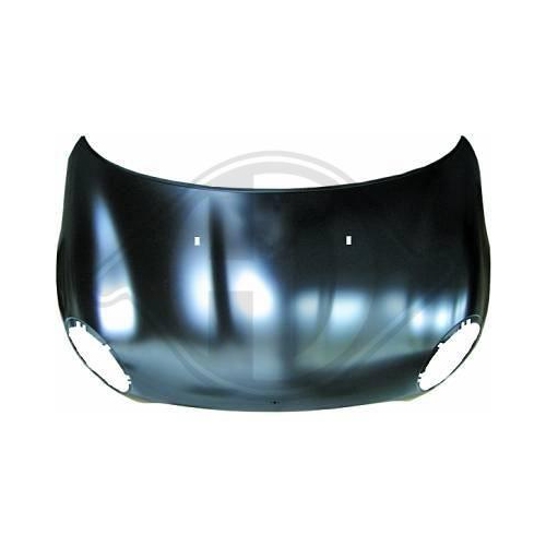 DIEDERICHS Motorhaube 1206000