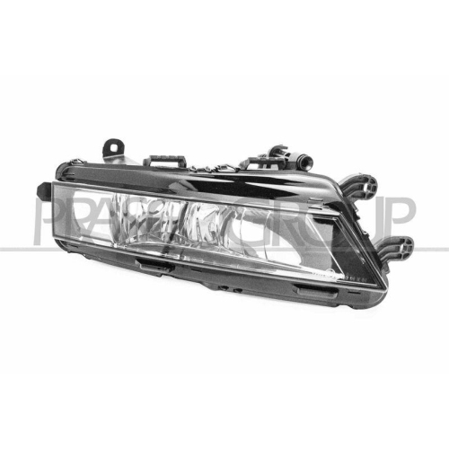 PRASCO Nebelscheinwerfer TYC SK0324414