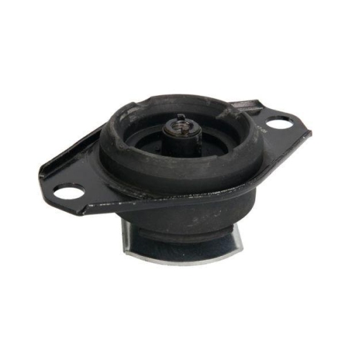 REINHOCH Lagerung, Motor RH11-1030