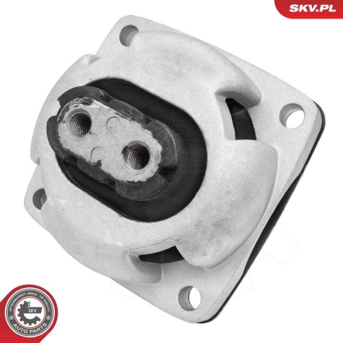 ESEN SKV Lagerung, Motor 75SKV004