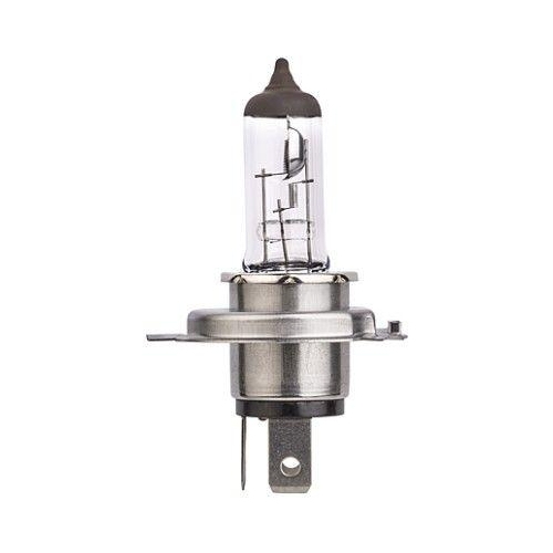 HELLA Gl&uuml;hlampe, Hauptscheinwerfer STANDARD 8GJ 007 255-123