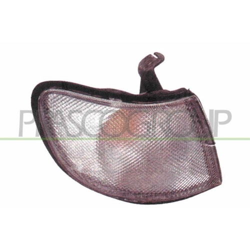 PRASCO Lichtscheibe, Blinkleuchte TYC DS0694113