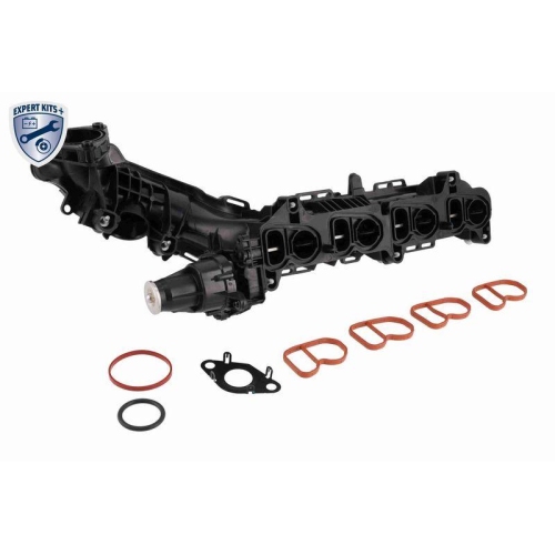 VAICO Saugrohrmodul EXPERT KITS + V20-4029