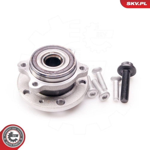 ESEN SKV Radlagersatz 29SKV010