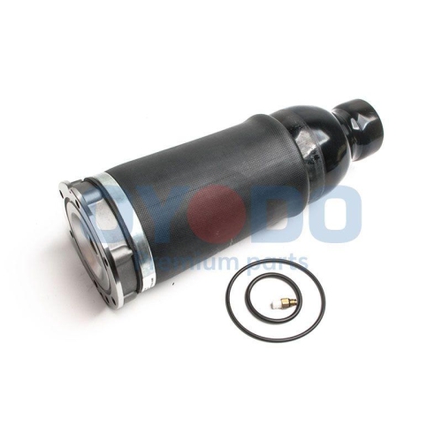 Oyodo Luftfeder, Fahrwerk