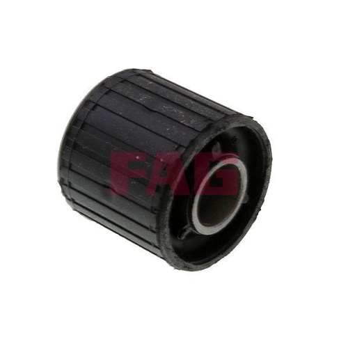 Schaeffler FAG Lagerung, Lenker