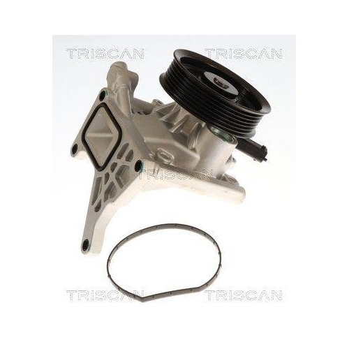 TRISCAN Wasserpumpe, Motork&uuml;hlung 8600 24062