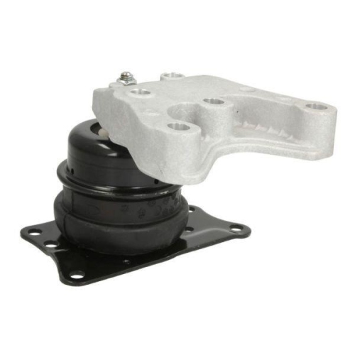 REINHOCH Lagerung, Motor RH11-0083