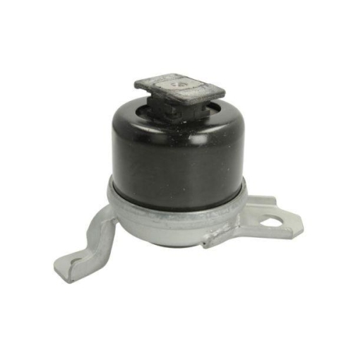 REINHOCH Lagerung, Motor RH11-4033