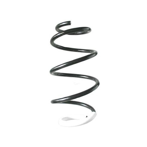 SPIDAN Fahrwerksfeder GKNW10233