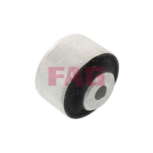 Schaeffler FAG Lagerung, Lenker