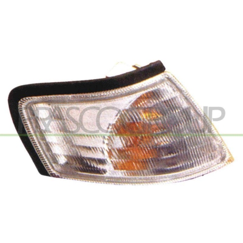 PRASCO Lichtscheibe, Blinkleuchte DS1754113