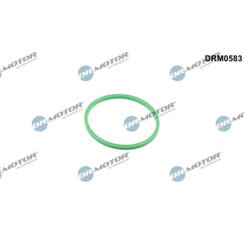 Dr.Motor Automotive Dichtring, Lader DRM0583
