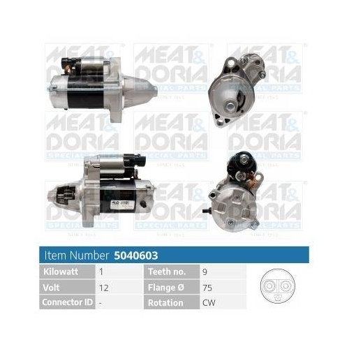 MEAT & DORIA Starter