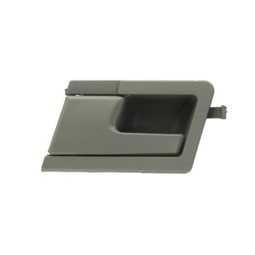 BLIC Türgriff, Innenausstattung 6010-01-013409PP